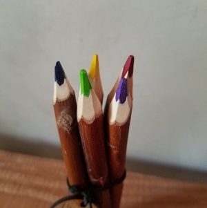 crayon-couleur-5-osier-waldorf