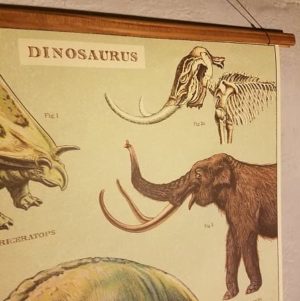 affiche-pedagogique-cavallini-dinosaures-homeschooling-vintage-montessori-enfant-jurassic