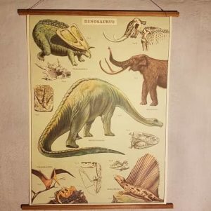 affiche-pedagogique-cavallini-dinosaures-homeschooling-vintage-montessori-enfant
