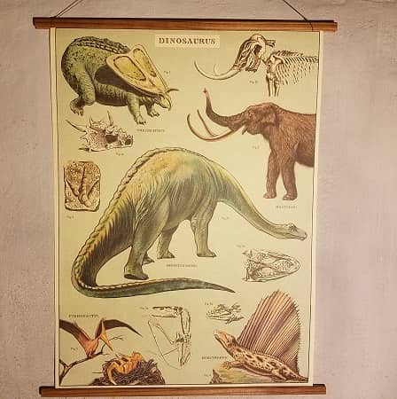 Dinosaures Poster Educatif Grand Format 61 x 91.5 cm