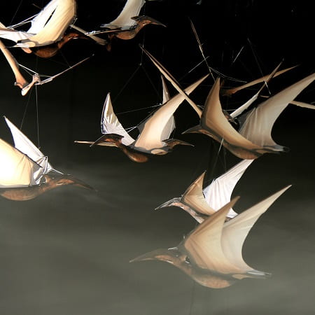 Cerf Volant - Ptérodactyle - Jurassic Kite - Au son des grillons