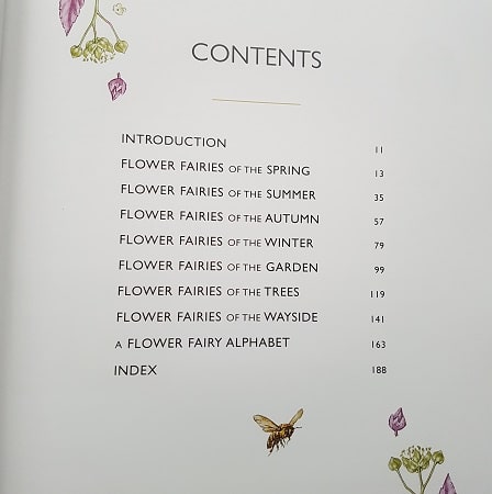 flower-fairies-livre-complet-enfant-vintage