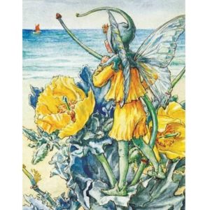 puzzle-flower-fairies-new-york-compagny-horned-popy