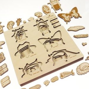 stukapuka-puzzle-insectes -apprentissages-ief-jouer
