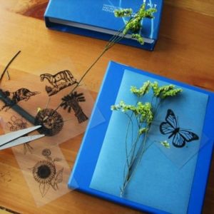 sunprint-papier-cyanotype-empreinte-solaire-enfant-waldorf