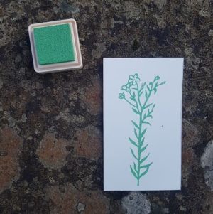 encre-versacraft-tsukineko-enfant-papeterie-creative-vert-celadon-160-tampon