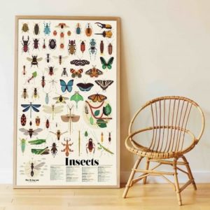 poster-geant-stickers-insectes-poppik-gommettes-activité-enfant-decoration