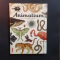 animalium-litterature-jeunesse-ief