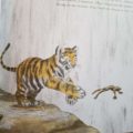 petit-tigre-livre-enfant
