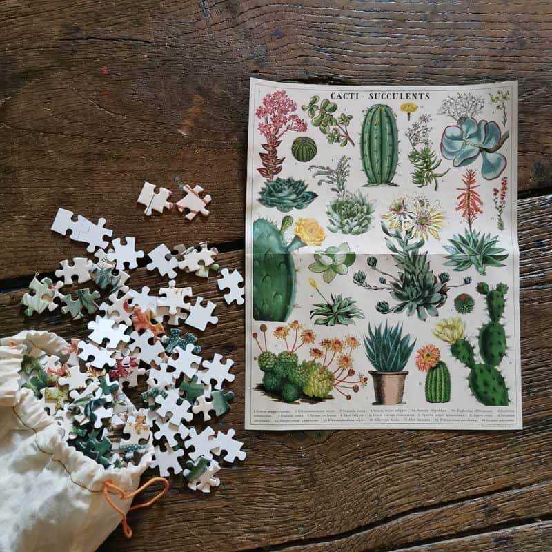 puzzle-1000-pièces-cavallini-cactus-jouetsucculentes