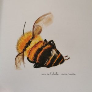 le-jardin-de-juliette-et-josephine-l-abeille-nature-enfant-min